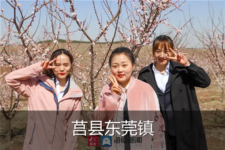 莒县东莞镇