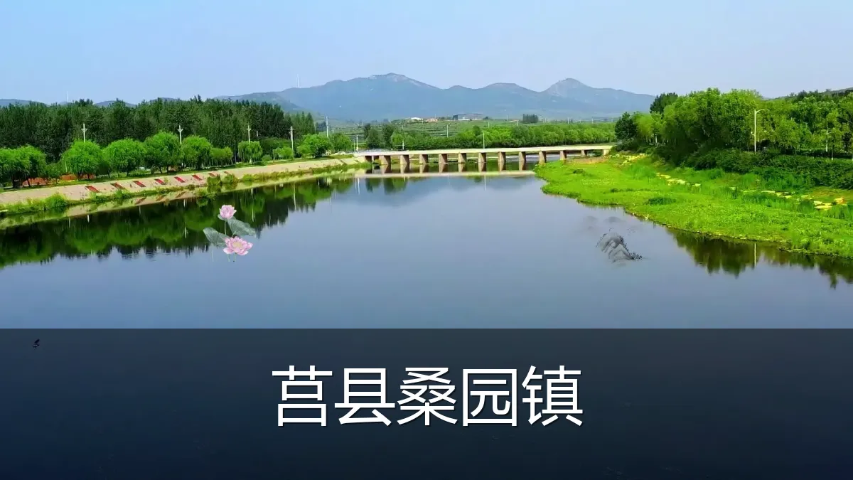 莒县桑园镇